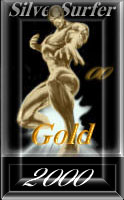 Silver Surfer Award