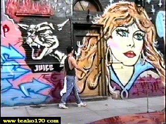 Tracy 168